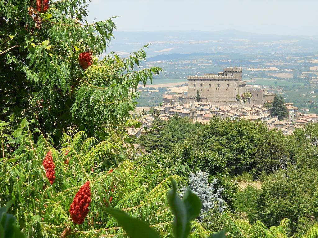 La Bastia Hotel & Resort サリアーノ・ネル・チミーノ 部屋 写真